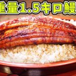 【デカ盛り】超巨大うなぎを超大盛りご飯に乗せて大食い【土用の丑の日】