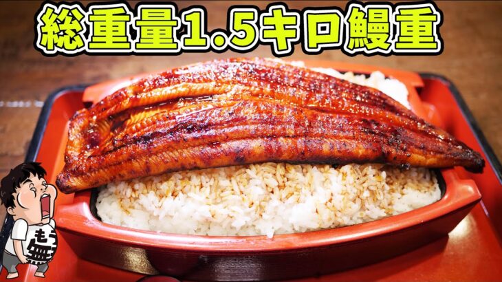 【デカ盛り】超巨大うなぎを超大盛りご飯に乗せて大食い【土用の丑の日】