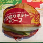 マクドナルドがポテト入りバーガーを新発売したので食べてきました【夏のハワイアンメニュー】