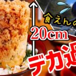 【デカ盛り】朝から並ぶ店の海鮮かき揚げ丼が金メダル級の大食い飯だった【バイクツーリング】