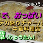 まるで、おっぱい！、デカ盛りチャーハンの中華料理店、龍潭