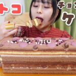 【大食い】コストコの濃厚チョコレートケーキ🍫🍰