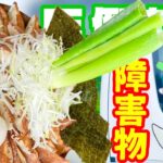 【大食い】新感覚障害物チャレンジ！？ねぎ餃子丼を攻略せよ！！〜ねぎ餃子鴻巣上谷店さん〜【大胃王】【埼玉県】