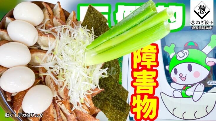 【大食い】新感覚障害物チャレンジ！？ねぎ餃子丼を攻略せよ！！〜ねぎ餃子鴻巣上谷店さん〜【大胃王】【埼玉県】