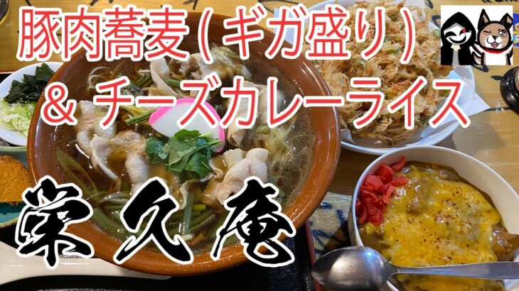 【群馬・前橋】デカ盛りの聖地で温かいギガ盛り肉そばとチーズカレーを頂きました！【栄久庵】