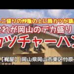 〈第136話〉これぞ岡山のデカ盛り！『カツチャーハン』を喰らう！！【梶屋】(岡山県岡山市東区竹原)