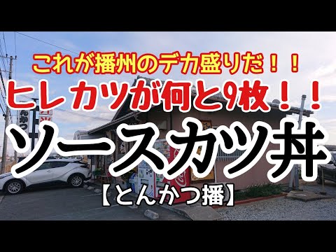 〈第139話〉これが播州のデカ盛りだ！ヒレカツが何と9枚載った『ソースカツ丼』を喰らう！！【とんかつ播】