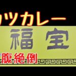【横浜】デカ盛りカツカレーがうますぎ、デカすぎの件