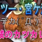 宮ケ瀬湖にソロツーリング【モトブログ】デカ盛りカツカレーの「とんかつ赤城」で満腹旅