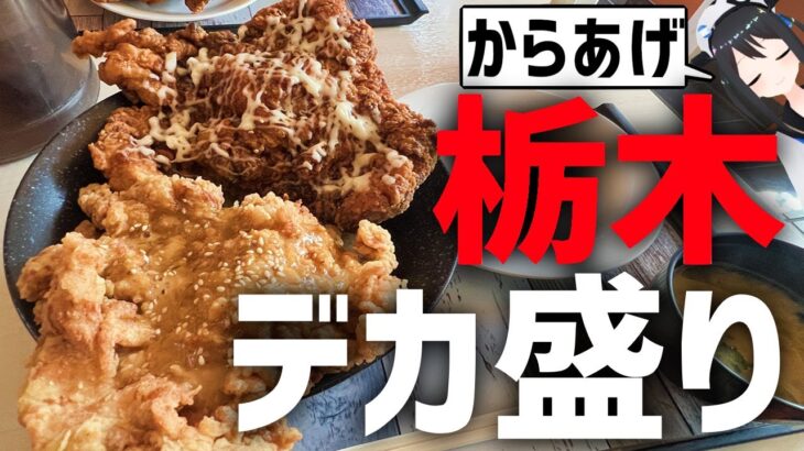 【デカ盛り】足利市にあるからあげ丼がめちゃでかかった件【モトブログ】