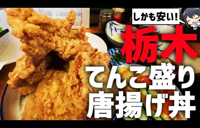 【デカ盛り】超大盛！栃木市のてんこ盛り唐揚げ丼食べてみた！【モトブログ】