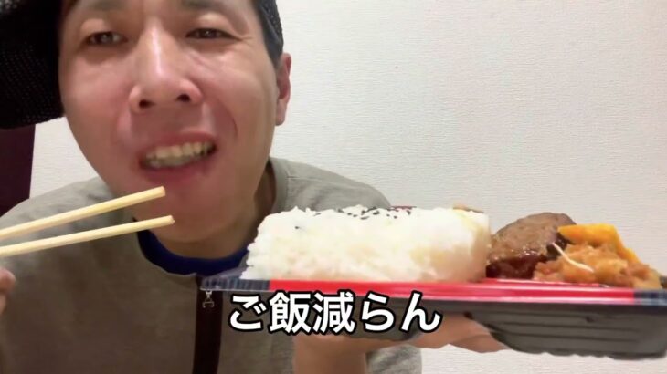 【デカ盛り】がっつり弁当！