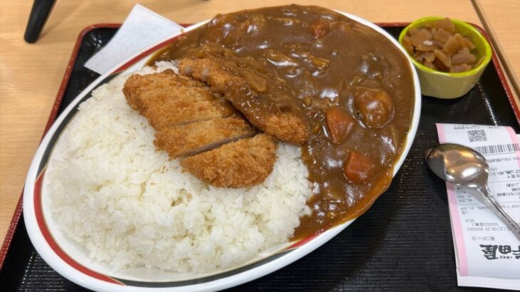 【デカ盛り#01】半田屋東口Bivi店 １キロダブルチキンカツカレー /2022.4.16