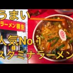 【ラーメン桐生 笠懸店】普通盛でもデカ盛りスタミナ満点で独創的な一杯が味わえる　A large amount of ramen in Japan