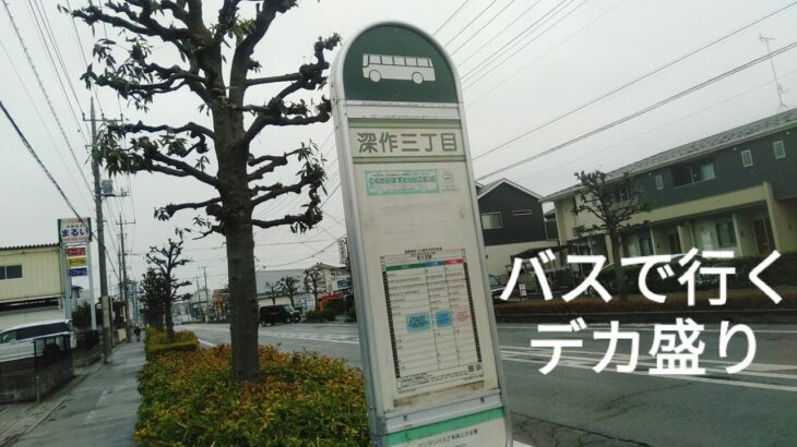 【デカ盛り・埼玉県さいたま市見沼区】『デカ盛りチャレンジシリーズ〔たちばな編〕』#さいたま市 #東大宮 #たちばな　#宇都宮線 #カツカレー #大盛り #埼玉県 #デカ盛り　#国際興業バス #そば屋