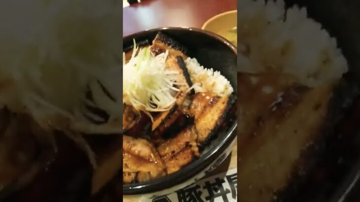 【デカ盛りグルメ 元祖豚丼屋TONTONのメガサイズ（厚切り豚バラ肉14枚）を食べるだけの動画】♯shorts