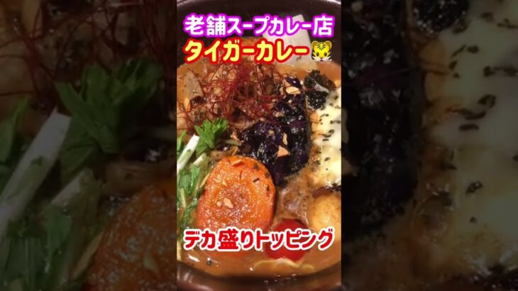 【デカ盛り】札幌で人気の老舗スープカレー店【タイガーカレー 赤れんがテラス店】 #shorts