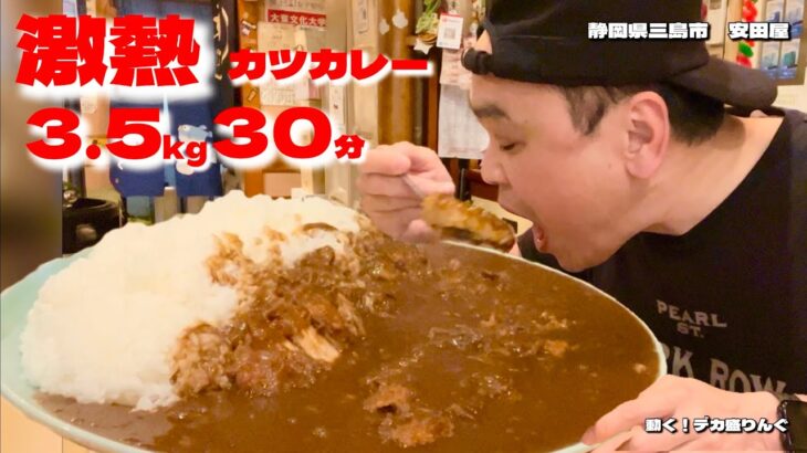 【大食い】激熱絶品の居酒屋カツカレーに挑戦！成功報酬が豪華すぎる！！〜安田屋さん〜【大胃王】【静岡県】