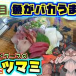 新宿で魚介といえばここ。新鮮・バカうま・デカ盛りの漁師めしを食べに行こう。【雑談】