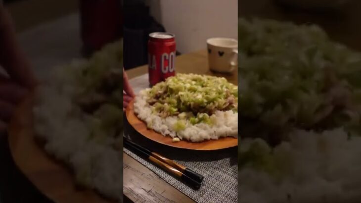 ガチで白米が止まらなくなる悪魔的超デカ盛りネギ塩豚丼をドカ食いする幸せ