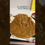 【デカ盛り】街の定食屋のカツカレーを注文したらとんでもない量で出てきた【川口市】