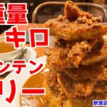 【デカ盛りチャレンジ】大阪のダル食堂名物マウンテンカリー食べ切れるか！？