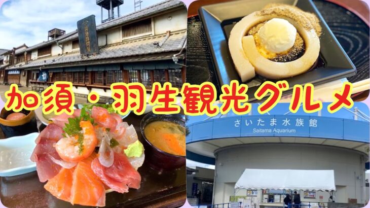 【埼玉観光グルメ】加須・羽生エリアでデカ盛り海鮮丼・羽生PA