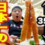 【デカ盛り】名古屋の大名物！日本一デカイ海老フライ丼に挑戦！【大食い】