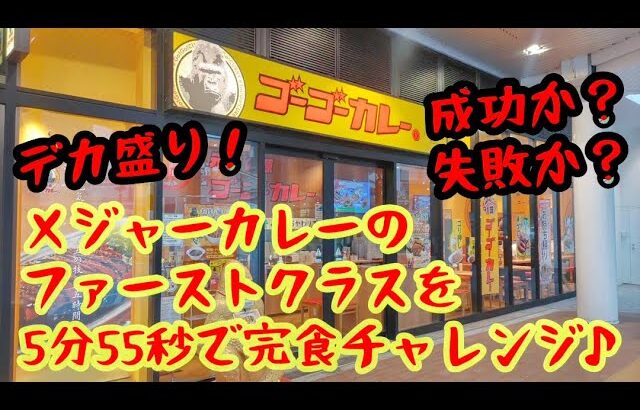 デカ盛り！ゴーゴーカレーでメジャーカレーにチャレンジしてみた♪