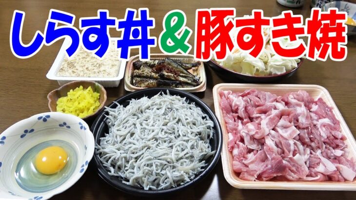 【一人晩酌】デカ盛りしらす丼とプチ豚すき焼きで肉と魚のスタミナ晩酌やってみた！≪飯≫≪魚≫≪肉≫