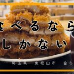 【埼玉グルメ】今年、東松山でデカ盛りを食べに行くならまずはここへ-vlog-