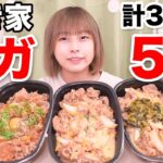 【大食い】すき家のメガサイズの牛丼5種類！期間限定新商品も！🐮