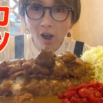 【デカ盛り】胃袋が爆発！！ジャンボカツカレーを爆食！【キッチンすみっこ】