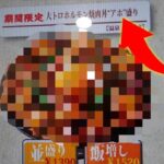 すた丼屋の新メニュー！大盛でもメガ盛でもない『アホ盛』を注文してみた！【期間限定】【飯テロ】