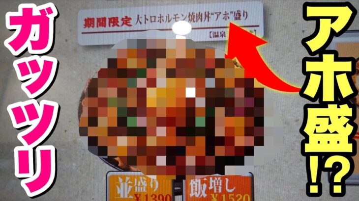 すた丼屋の新メニュー！大盛でもメガ盛でもない『アホ盛』を注文してみた！【期間限定】【飯テロ】