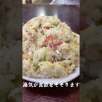 茨城県日立市にある桃苑でデカ盛りチャーハン食べてみた