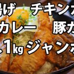 【香川県高松市朝日新町 ゆうちゃん食堂】 デカ盛り大食い丼チャレンジに挑んだ結果【飯テロ 大胃王】