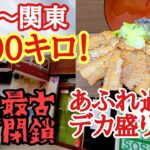 【長距離トラック日常】九州～関東1000キロ運行/溢れすぎデカ盛り豚丼、高速特急トントン【日本坂PA】閉鎖された日本最古のパーキングエリア駒門PA上り