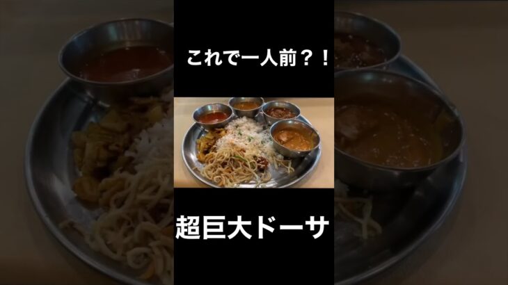 デカ盛りがすぎる‼️これで一人前⁉️超巨大すぎるドーサが凄い😍#カレー#カレーライス#curry#インドカレー#デカ盛り#大盛り