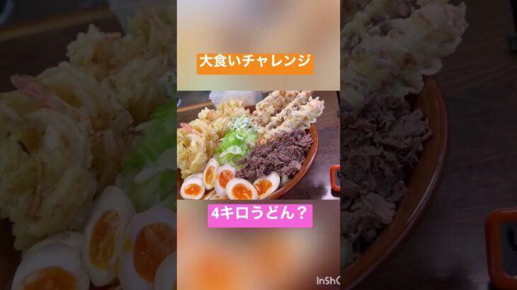 【大食い】本格手打うどん 荻窪 #shorts #大食い #デカ盛り #うどん