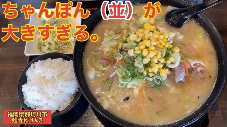 【デカ盛り】「麺専科げんき」ちゃんぽん（並）が大きすぎる！那珂川の隠れたデカ盛り店【福岡ラーメン】【福岡ちゃんぽん】