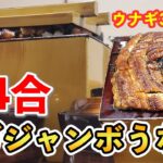 【デカ盛り】4合ご飯と特大ウナギを贅沢に！メガジャンボうな丼！【三重県四日市市】【大食い】