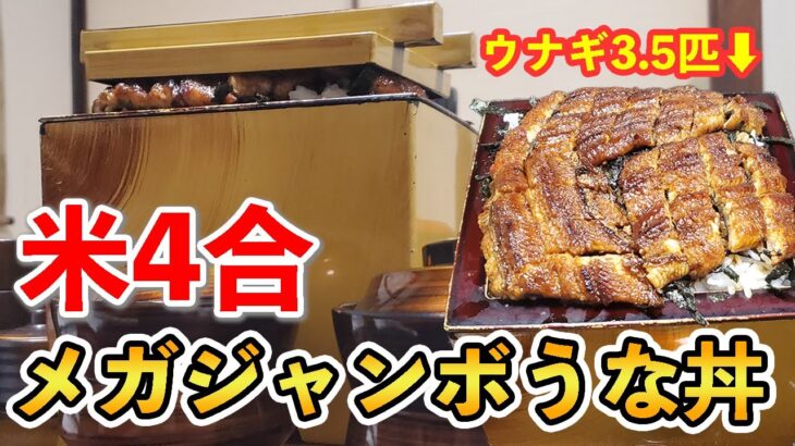 【デカ盛り】4合ご飯と特大ウナギを贅沢に！メガジャンボうな丼！【三重県四日市市】【大食い】