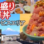 【長距離トラック】デカ盛り海鮮丼！駿河湾沼津SA/祝？パーキング飯コンプリート！？/am3:00起き仕事前日のトラック運転手ルーティーン