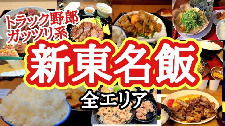 新東名飯(全エリア)トラック野郎が行くガッツリ系、デカ盛り系、サービスエリア飯【総集編】【長距離トラック日常】