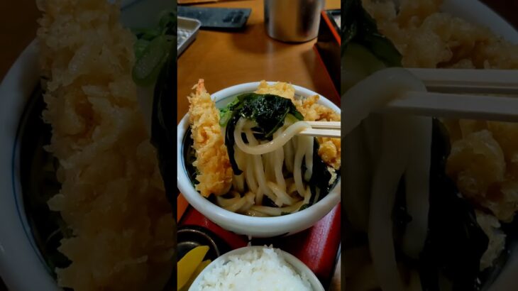 讃松庵（さんしょうあん）麺800gのデカ盛りうどん 神戸市・地下鉄中央市場前駅 #食べ歩き