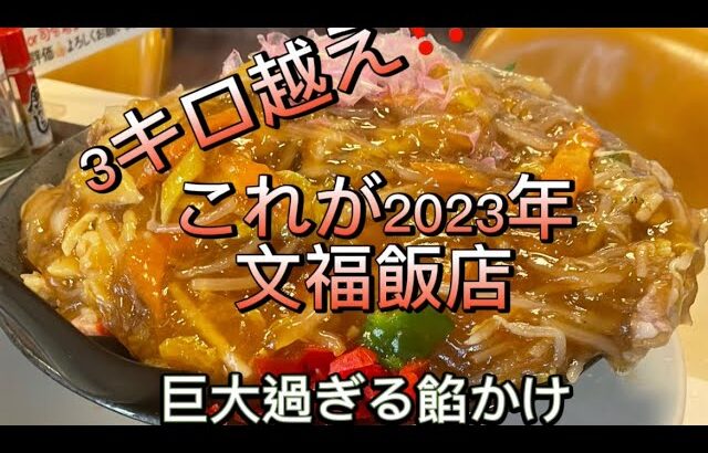 【文福飯店】巨大過ぎる餡かけチャーハン🤣誰が食べるの？普通盛りって言ったのに！心が折れた新春ロングバージョン『笑う門には福来たる』💕