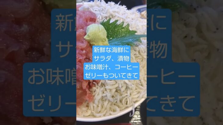 ドデカ玉子焼きにびっくり!加須市にあるデカ盛りの名店が最高過ぎる話。#海鮮丼#デカ盛り