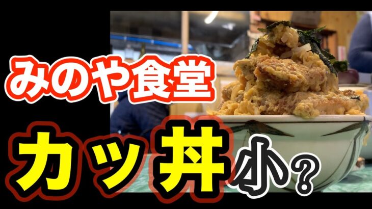 【グルメ廻戦 其ノ１５】デカ盛りの聖地「みのや食堂」のカツ丼「小」と「大」を食べ比べてみた　　岐阜県山県市「みのや食堂」　祝物『カツ丼』