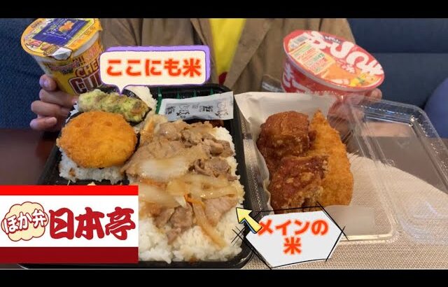 【デカ盛り】ガッツリ食べたくなったのでギガ盛り弁当食べてみた【大食い】